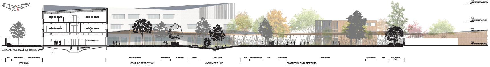 Coupe paysagère au 1/200 depuis le parking jusqu'à la plateforme multisports, traversant le bâtiment et le jardin de pluie.