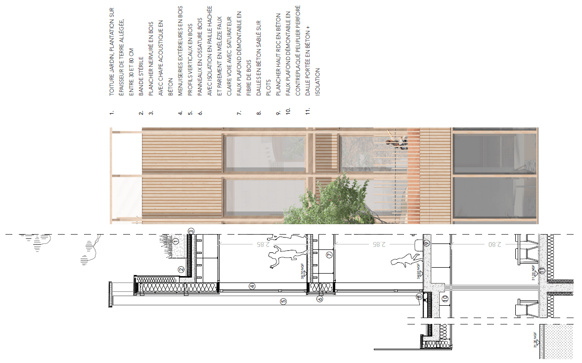 Détail technique numéroté de l'élévation du nouveau bâtiment : toiture jardin, structure en bois et parement en mélèze faux claire-voie.