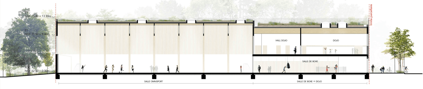 Coupe au 1/200 traversant la salle omnisport à charpente bois apparente, avec le hall dojo, le dojo et la salle de boxe superposés en arrière-plan.