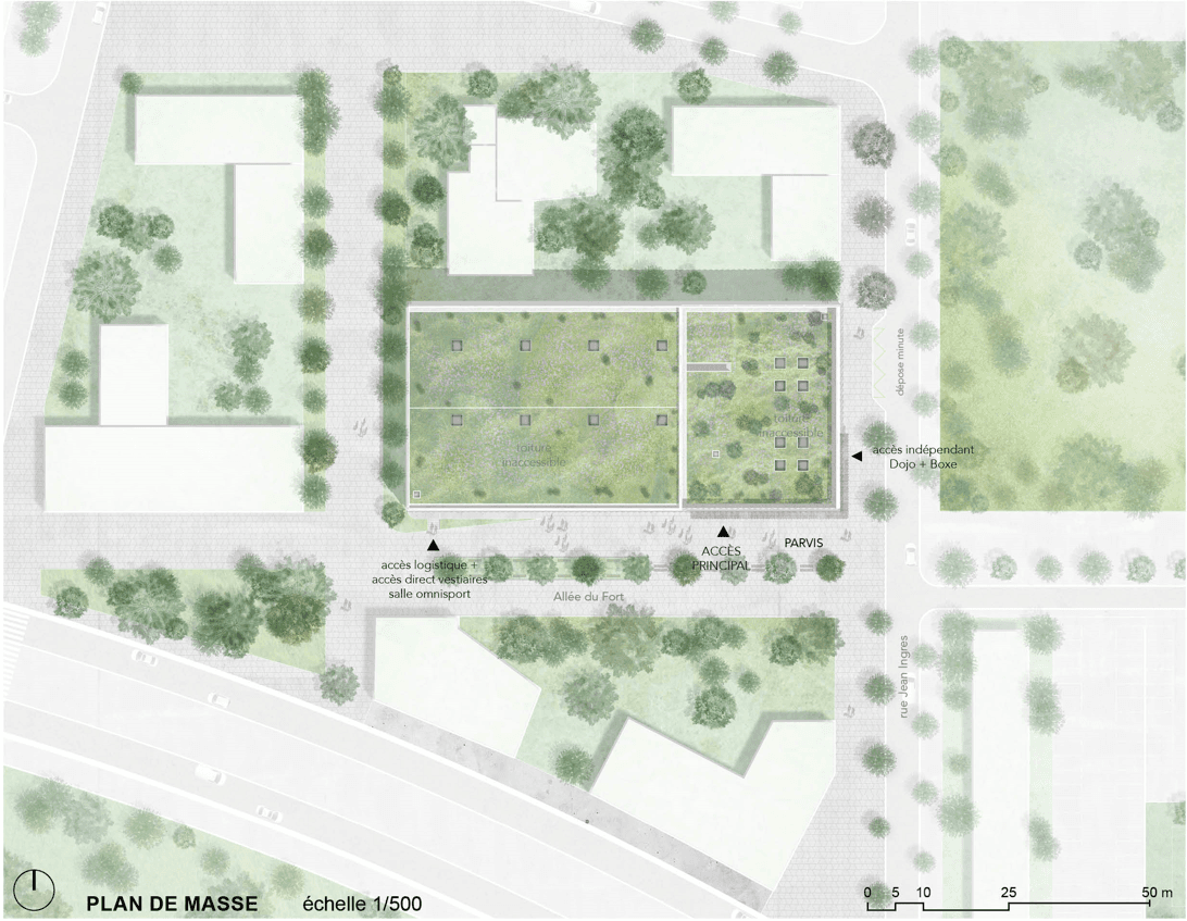 Plan de masse du pôle sportif au 1/500, montrant les deux volumes à toiture engazonnée (salle omnisport et espace boxe/dojo) entre l'Allée du Fort et la rue Jean Ingres, avec les accès principal, logistique et indépendant boxe/dojo repérés.